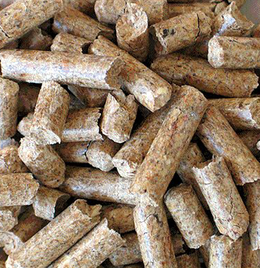 Cattle Feeds